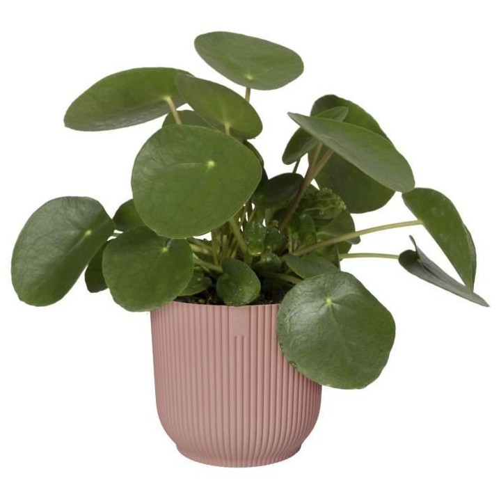 Pot De Fleurs Rond VIBES - Plastique - Ø22 - Rose poudré