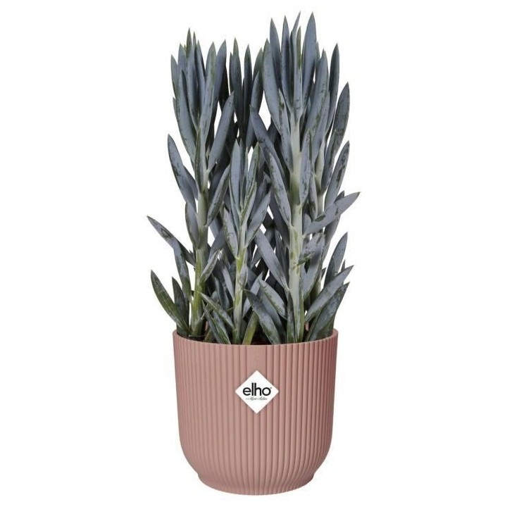 Pot De Fleurs Rond VIBES - Plastique - Ø25 - Rose poudré