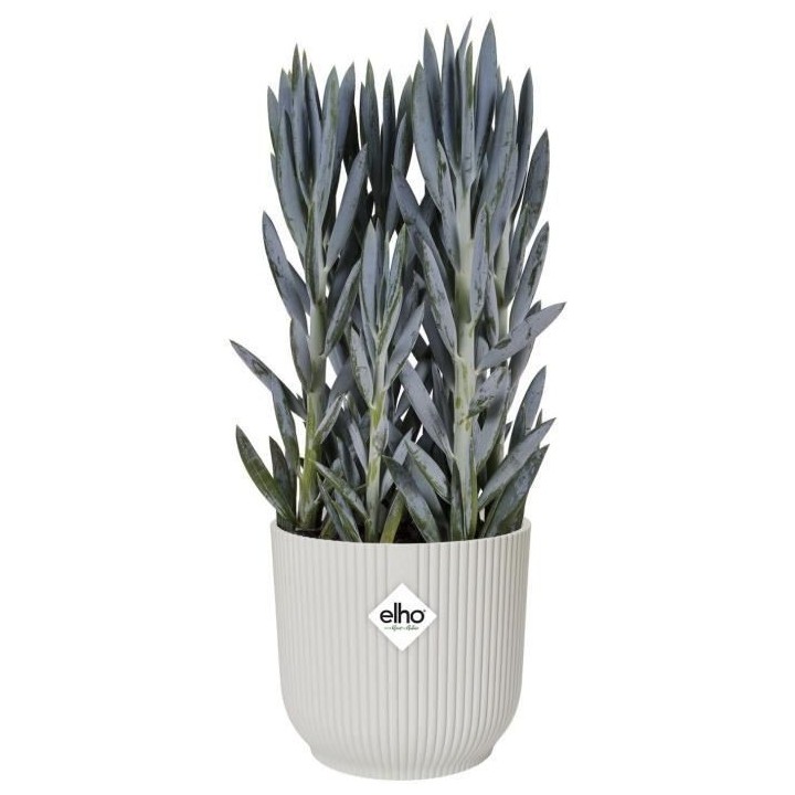 Elho Pot de fleurs Rond VIBES - Plastique - Ø25xH 23.0 cm - Blanc/Bla