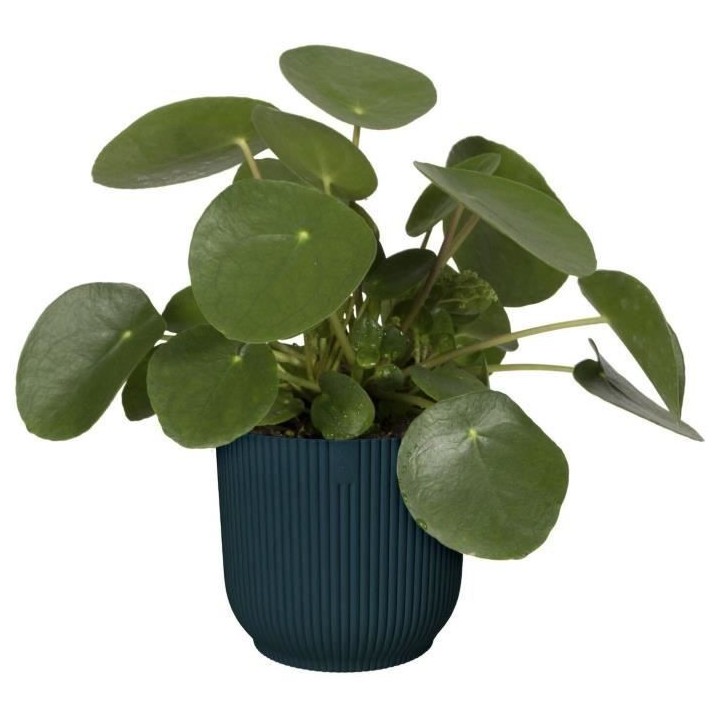 Pot De Fleurs Rond VIBES - Plastique - Ø25 - Bleu Foncé