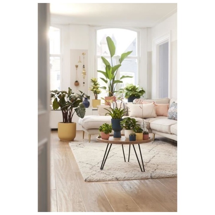 Pot De Fleurs Rond VIBES - Plastique - Ø25 - Bleu Foncé