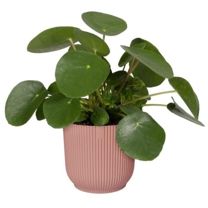 Pot De Fleurs Rond VIBES - Plastique - Ø30 - Bleu Foncé