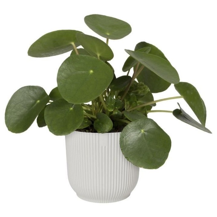 ELHO Vibes Fold Pot de fleurs rond 30 - Blanc - Ø 30 x H 27 cm - int