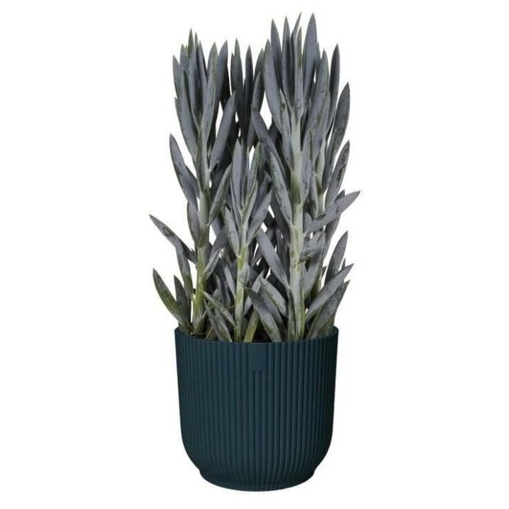 Pot De Fleurs Rond GREEN BASICS - Plastique - Ø45 - Noir