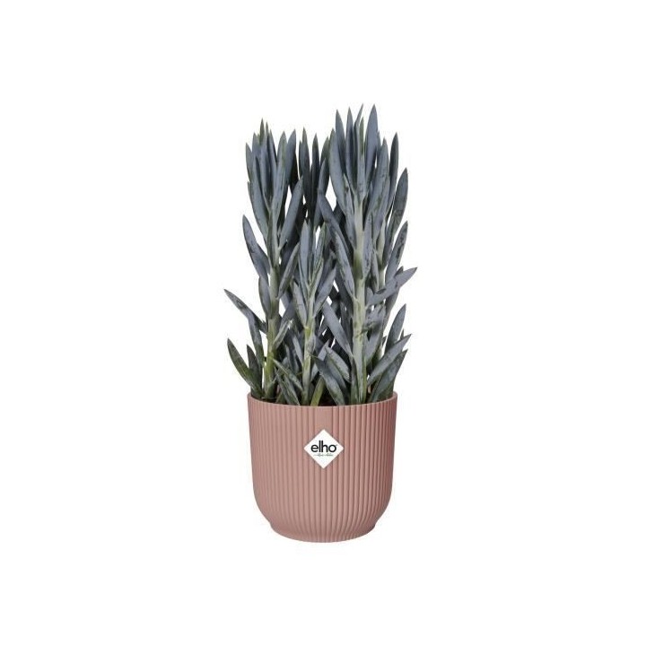 ELHO Vibes Fold Pot de fleurs rond Roues 35 - Rose - Ø 35 x H 32 cm -
