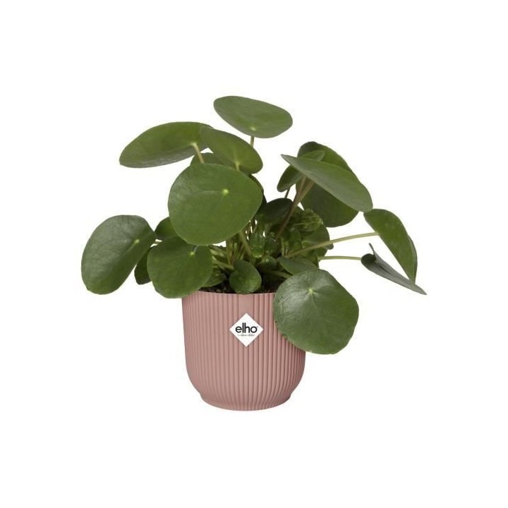 ELHO Vibes Fold Pot de fleurs rond Roues 35 - Rose - Ø 35 x H 32 cm -