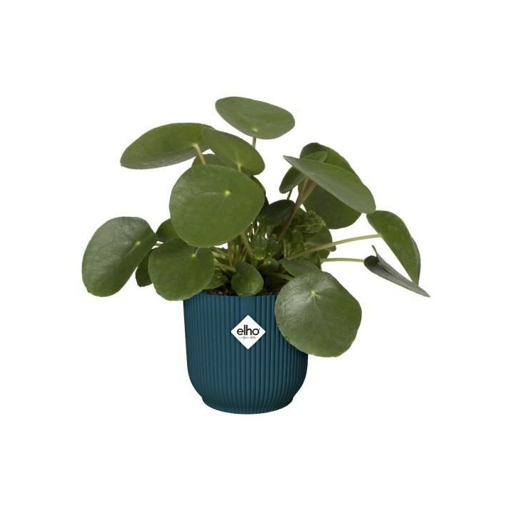ELHO Vibes Fold Pot de fleurs rond Roues 35 - Bleu - Ø 35 x H 32 cm -