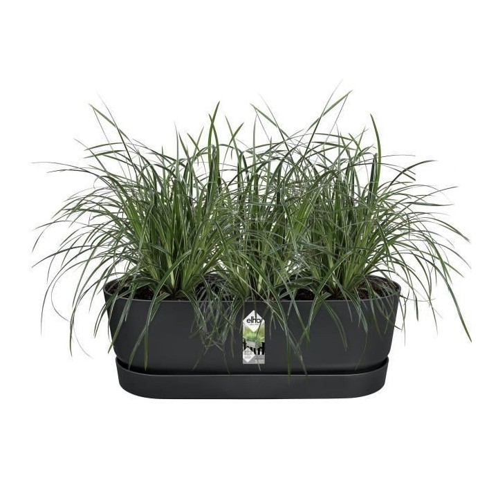 Pot de fleurs ELHO Greenville Easy Balcony 52 - Living Noir - Balcon -