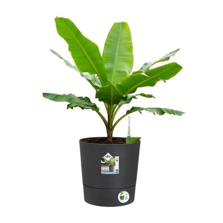 Pot de fleur Elho Plastique Rond Greensense Aqua Care Gris Charbon Ø