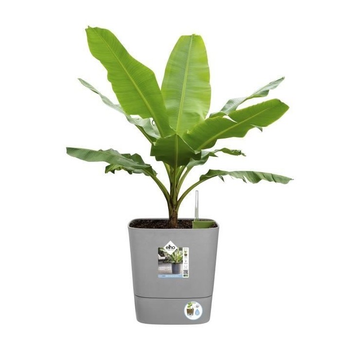 Pot de fleur Elho Plastique Carré Greensense Aqua Care Vert Jungle 29