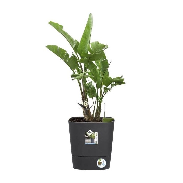 Pot de fleur Elho Plastique Carré Greensense Aqua Care Gris Charbon 3