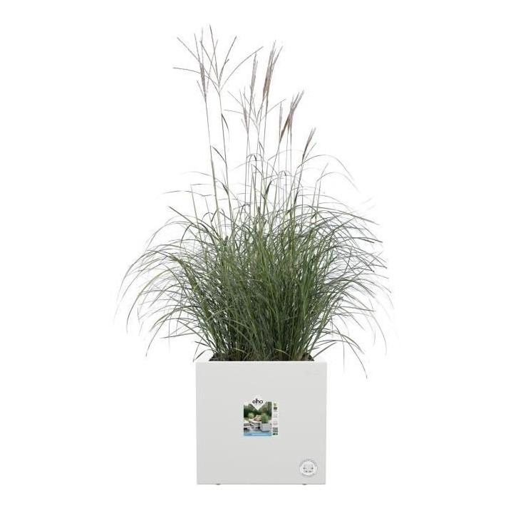 Elho Vivo Next Square 40 Bac a fleurs - Blanc - Ø 39 x H 38 cm - int
