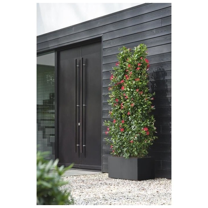 Elho Vivo Next Long 80 Bac a fleurs - Noir - L 78 x B 39 x H 38 cm - i