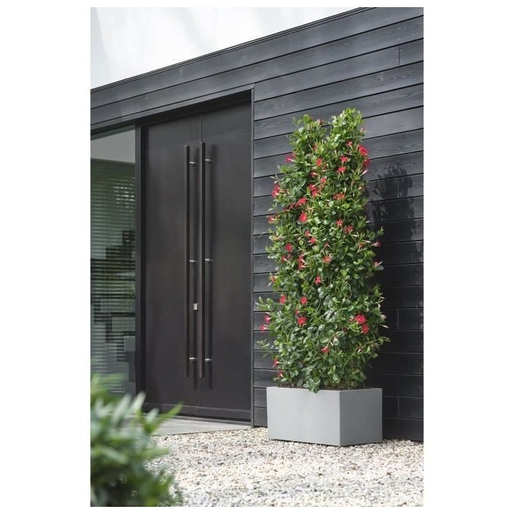 Elho Vivo Next Long 80 Bac a fleurs - Gris - L 78 x B 39 x H 38 cm - i