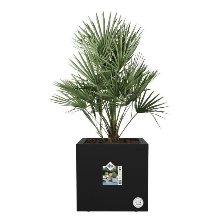 Elho Vivo Next Square 30 Bac a fleurs - Noir - Ø 30 x H 29 cm - inté