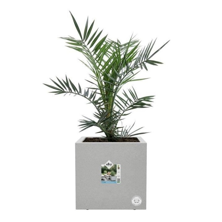 Elho Vivo Next Square 30 Bac a fleurs - Gris - Ø 30 x H 29 cm - inté