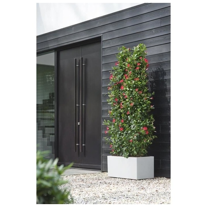 Elho Vivo Next Long 60 Bac a fleurs - Blanc - L 59 x B 30 x H 29 cm -