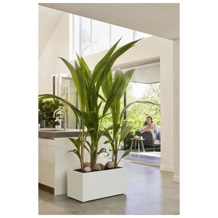 Elho Vivo Next Long 60 Bac a fleurs - Blanc - L 59 x B 30 x H 29 cm -