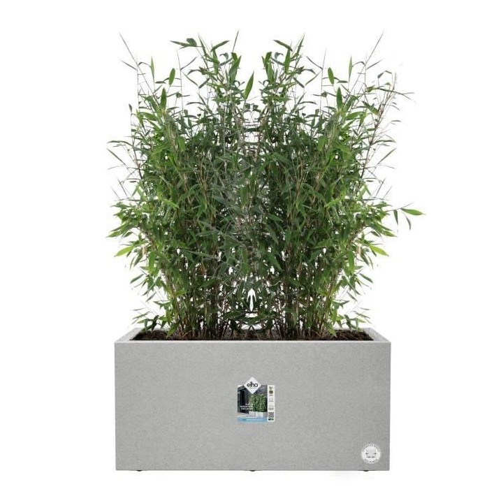 Elho Vivo Next Long 60 Bac a fleurs - Gris - L 59 x B 30 x H 29 cm - i