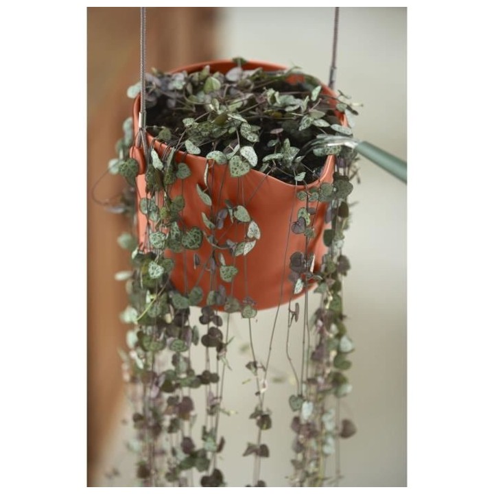 Pot De Fleurs Rond VIBIA - Plastique Réservoir - Ø35 - Jaune Miel