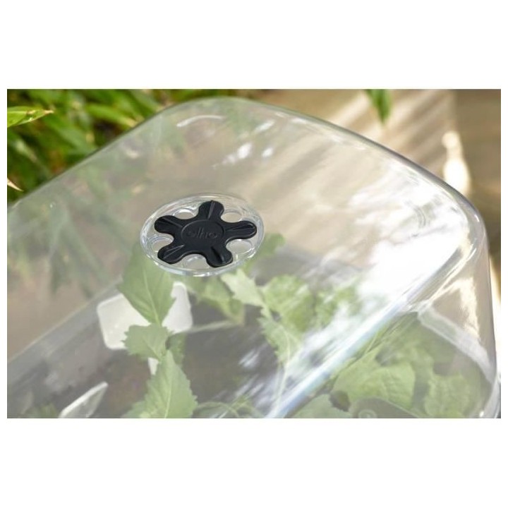 ELHO Noa Potager Sur Pied - Noir - L 79 x B 39 x H 94 cm - culture et