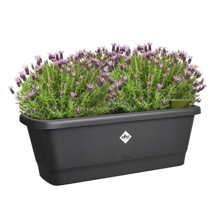 Elho Noa Balconniere M - Noir - L 52 x B 20 x H 18 cm - Balconextérie