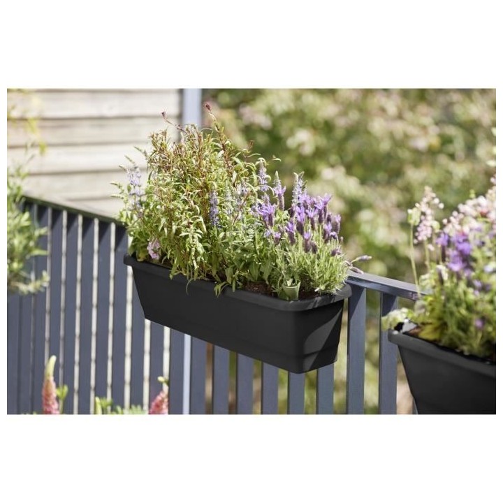 Elho Noa Balconniere M - Noir - L 52 x B 20 x H 18 cm - Balconextérie