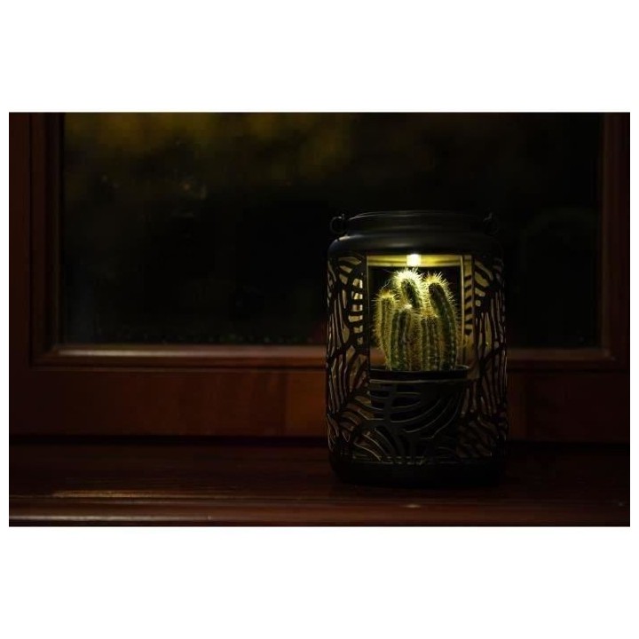Lanterne Solaire - GARDEN ID Lampe pour Fleur - 12 x 19 cm Pot 6.5 x 6