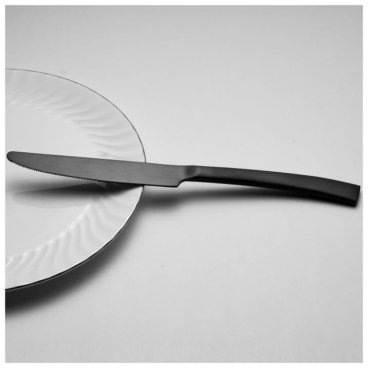 Ménageres - ARTHUR MARTIN - AM5136 - 24 pieces - Acier inoxydable - F