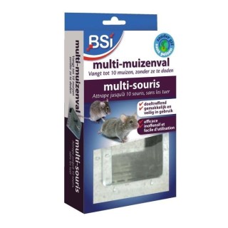 Pieges a souris galvanisé avec fenetre - BSI - Vous piegez le rongeur