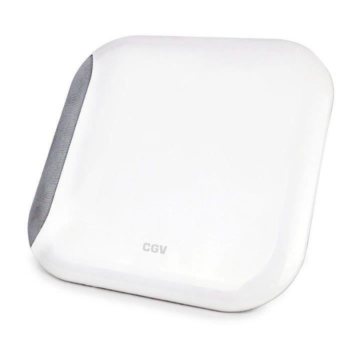 Antenne TV intérieur - CGV - AN LOOK 2M CE-RED 700 - HD-UHD - Filtre