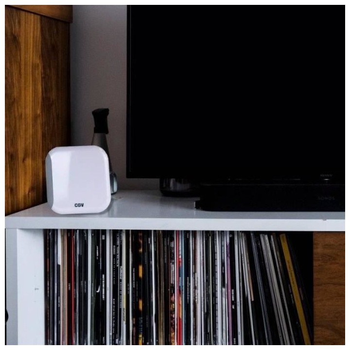 Antenne TV intérieur - CGV - AN LOOK 2M CE-RED 700 - HD-UHD - Filtre