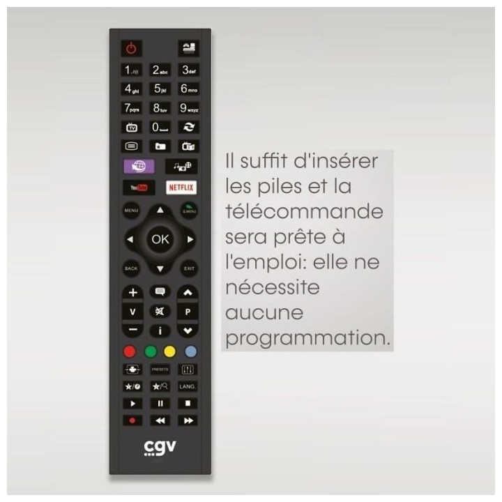 Télécommande de remplacement - CGV - FIDELIO Philips - Pour télévi