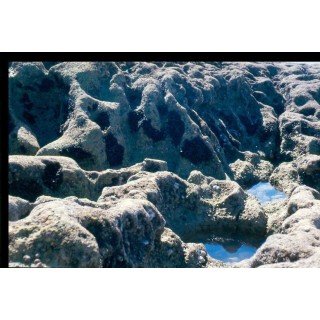 Carte postale microlorge