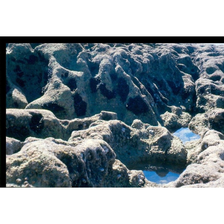 Carte postale microlorge