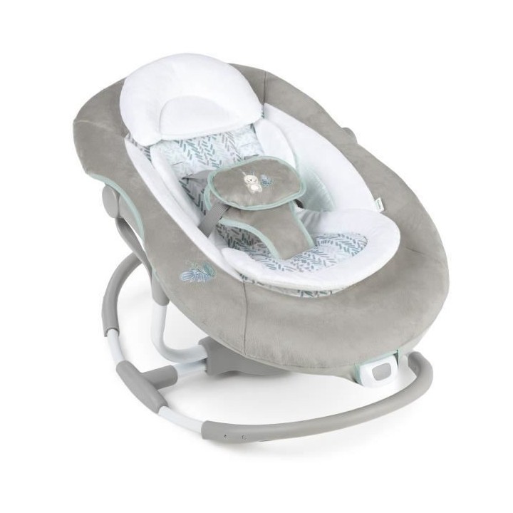 Ingenuity, Balancelle et Transat électrique 2 en 1 Spruce, Des la Nai