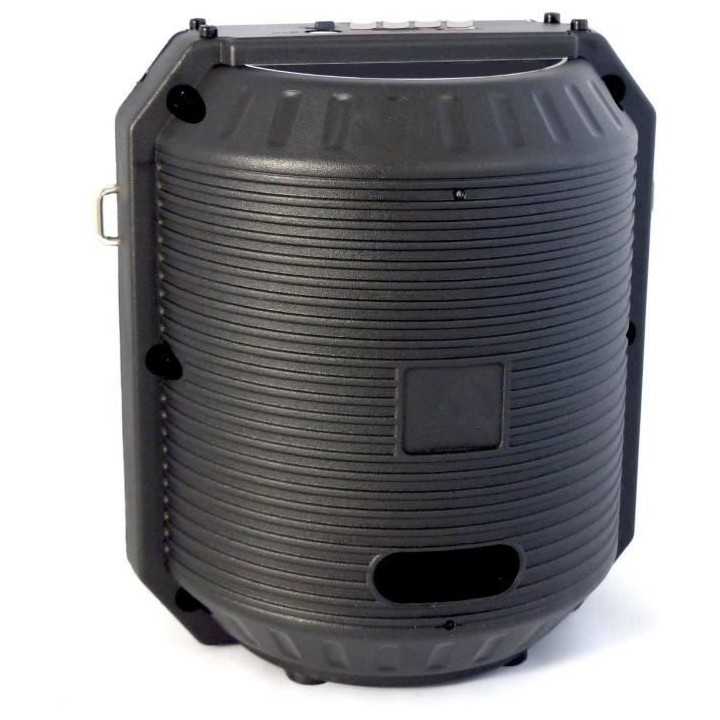 INOVALLEY HP74BTH - Enceinte lumineuse karaoké Bluetooth 20W - Lumier