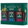 Isautier - Coffret 3 Arrangés - Gingembre Citron, Banane Flambée et Goyave Rooibos - 40,0% Vol. - 3x20 cl