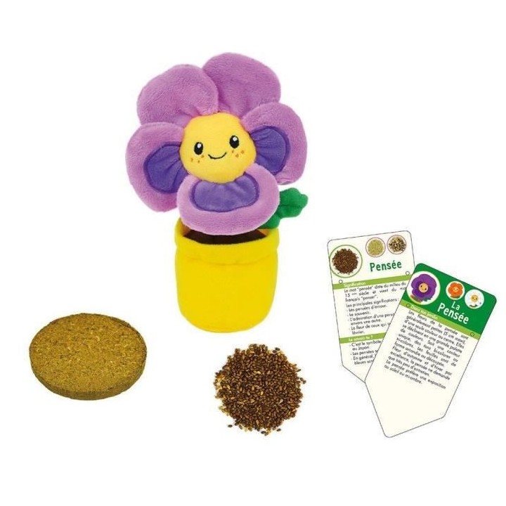 SILENCE CA POUSSE Lot de 3 fleurs (Pensée, Capucine et Marguerite) en