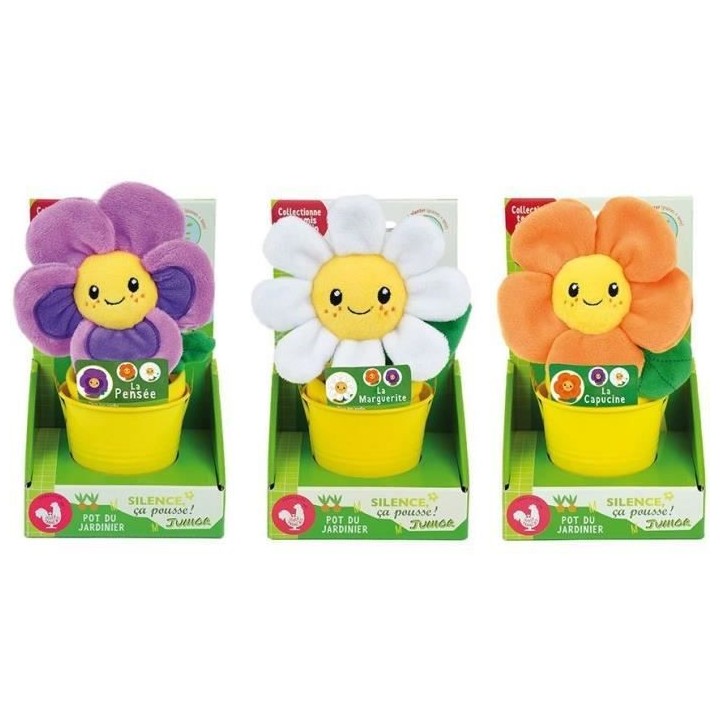 SILENCE CA POUSSE Lot de 3 fleurs (Pensée, Capucine et Marguerite) en