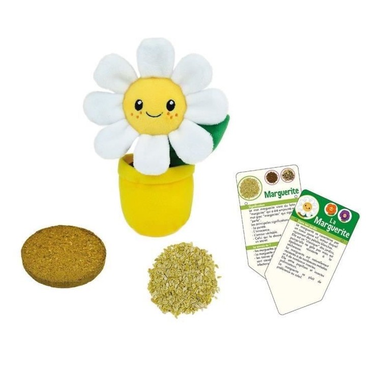 SILENCE CA POUSSE Lot de 3 fleurs (Pensée, Capucine et Marguerite) en