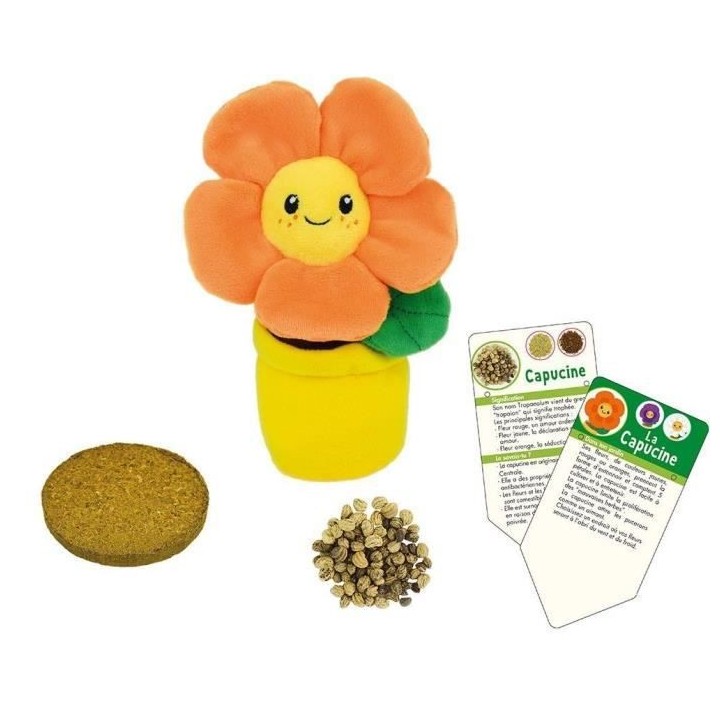 SILENCE CA POUSSE Lot de 3 fleurs (Pensée, Capucine et Marguerite) en