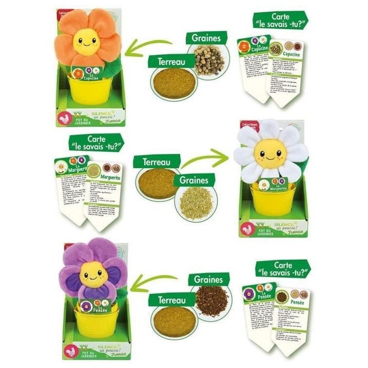SILENCE CA POUSSE Lot de 3 fleurs (Pensée, Capucine et Marguerite) en