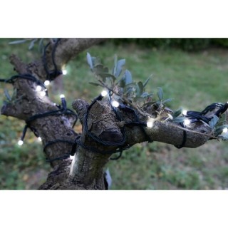 BLACHERE ILLUMINATION Guirlande solaire LED extérieure - 200 LED - 1,