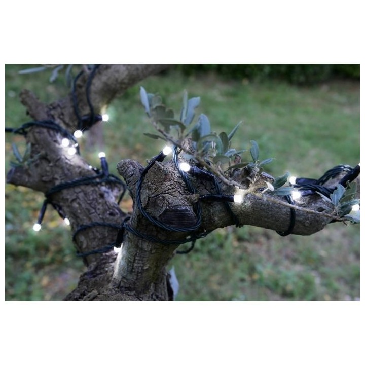 BLACHERE ILLUMINATION Guirlande solaire LED extérieure - 200 LED - 1,