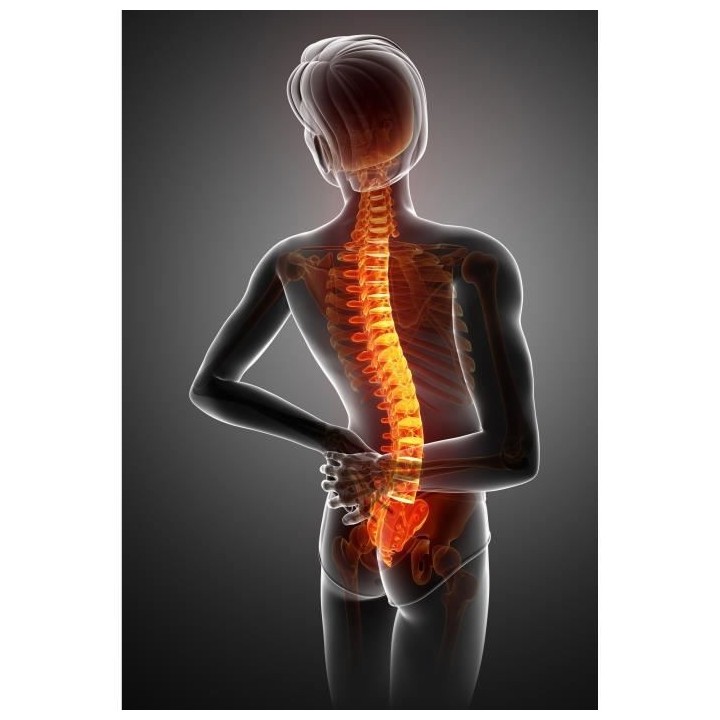 JOCCA - Gilet correcteur de posture avec 12 aimants intégrés - Taill