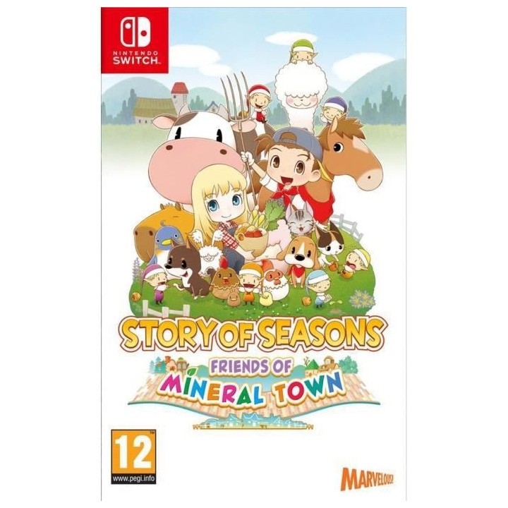 Story of Seasons: Friends of Mineral Town Jeu Nintendo Switch