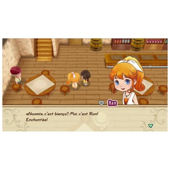 Story of Seasons: Friends of Mineral Town Jeu Nintendo Switch