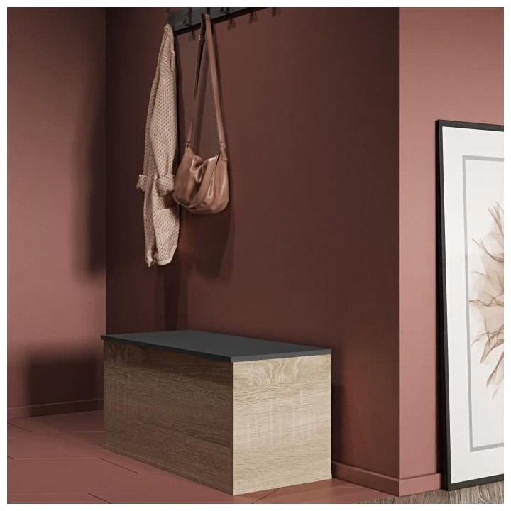 KNIGHT Coffre a chaussures - Décor chene et noir - L 89 x P 39 x H 43