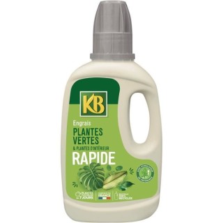 KB - Engrais rapide plantes vertes et plantes d'intérieur 500ml